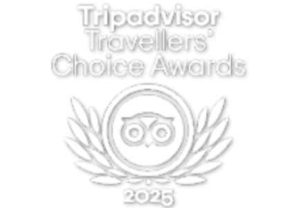 Tripadvisor Travellers' Choice Awards logo 2025 with owl emblem and laurel wreath.