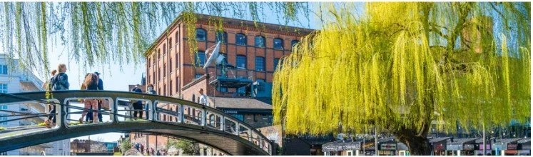 People walking on a curved bridge near yellow willow trees and a brick building.